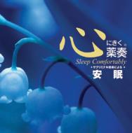 �T�u���~�i�����ʂɂ������S�ɂ�����t