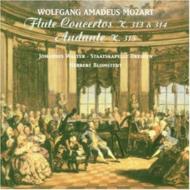 Flute Concerto, 1, 2, Etc: J.walter(Fl)Blomstedt / Skd