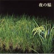 夜の稲: Rice Field Silentlyriping In The Night : 工藤礼子