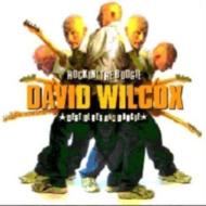 David K Wilcox/Rockin'The Boogie