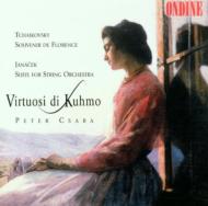 (Strings)string Sextet: Csaba / Virtuosi Di Kuhmo +janacek: Suite