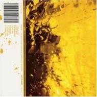 Patrick Shaw Iversen / Raymond C Pellicier/On / Off