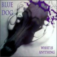 Blue Dog/What Is Anything