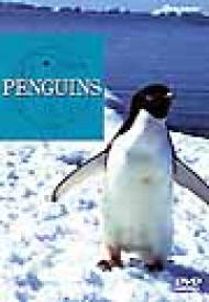 Penguins -�n�C�r�W���A�� �V���[�Y