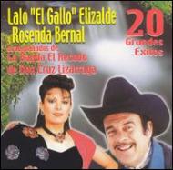 Lalo El Gallo Elizalde/20 Exitos Vol.3 - Con Banda Elrecodo Y Rozenda Bernal