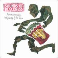 Africa To America +1