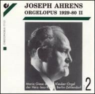 Organ Works 2 �M�[�[(Org)