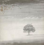Genesis/Wind And Wuthering(Remaster)