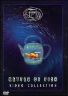 Kettle Of Fish -Video Collection