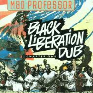 Mad Professor/Black Liberation Dub