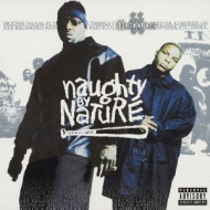 Naughty By Nature/Iicons