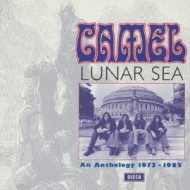 Lunar Sea / An Anthology 1973-1985