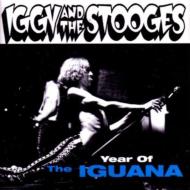 Year Of The Iguana