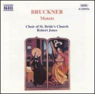ブルックナー (1824-1896)/Motets ： Jones / St. bride's Choir