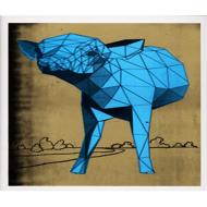 �����Y��