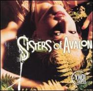 Sisters Of Avalon : Cyndi Lauper | HMV&BOOKS online - EK66433