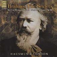 ブラームス（1833-1897）/String Sextets.1 2： Hausmusik