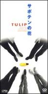 サボテンの花 : TULIP （チューリップ） | HMV&BOOKS online