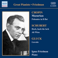 Ignaz Friedman: Complete Recordings Vol.3