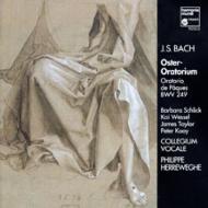 Хåϡ1685-1750/Easter Oratorio Herreweghe / Collegium Vocale Schlick Wessel Taylor Kooij