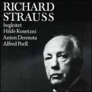 Ｒ．シュトラウス・エディション（３５ＣＤ） ＣＤ－ＲＯＭ１枚付き R．シュトラウス・エディション（35CD） CD－ROM1枚付き