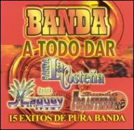 Various/Banda A Todo Dar - 15 Exitos De Pura Banda