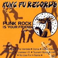 Various/Kung Fu Sampler #3 - Punk Rock Is Your Friend