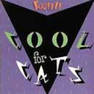 Cool For Cats