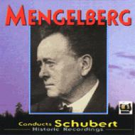 交響曲第９番 メンゲルベルク＆コンセルトヘボウ管 : シューベルト（1797-1828） | HMVu0026BOOKS online - TAH231