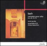 Cantata.35, 53, 82: R.jacobs(C-t), Banchini / Ensemble 415