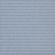 Every Dog Has Its Day