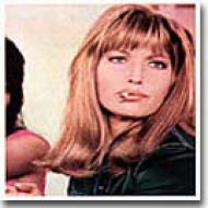 Ti Ho Sposato Per Allegria メリッド ユー フォー ファン (Piero 
