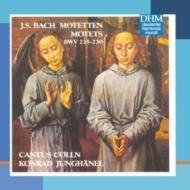 Motets: Junghanel / Cantus Colln