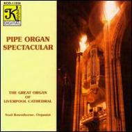 Liszt / Reger/Organ Works  饦