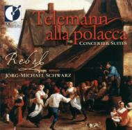 Alla Polacca-concertos & Suites: J-m.schwarz / Rebel