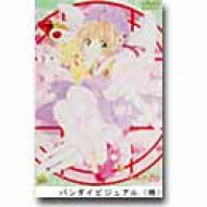 �J�[�h�L���v�^�[�����猀���