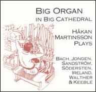 Organ Classical/Martinsoon Big Organ In Big Cathedral Cd-plus