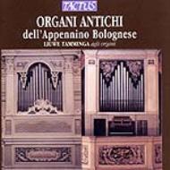 Organ Classical/Organi Antichi Dell'appenninobolonese Tamminga