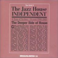Jazz House Independent 3 -Taste Of Nu-jazz 14 Years 1988-2002