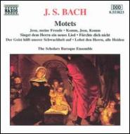 バッハ（1685-1750）/Motets： Scholars Baroque Ensemble