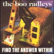 Find The Answer Within -1st