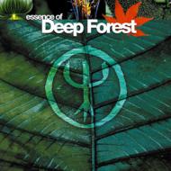 Essence Of Deep Forest