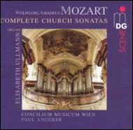 ⡼ĥȡ1756-1791/Church Sonatas E. ullmann(Org)angerer / Concilium Musicum