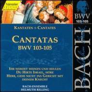 Хåϡ1685-1750/Cantatas.103-105 Rilling / Bachcollegium Ensemble Stuttgart
