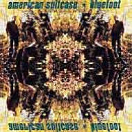 American Suitcase/Bluefoot
