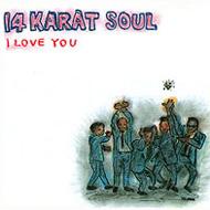 I Love You : 14 Karat Soul | HMV&BOOKS online - PCCY-1589