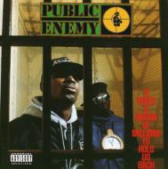 Public Enemy/It Takes A Nation Of Millionsto Hold Us Back