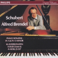 シューベルト／ピアノ・ソナタ第１３，４番 アルフレッド・ブレンデル : シューベルト（1797-1828） | HMVu0026BOOKS online -  PHCP-3983
