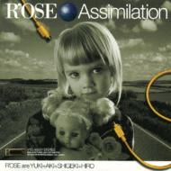 Assimilation