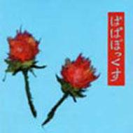 ぱぱぼっくす+3 : ぱぱぼっくす | HMV&BOOKS online - CSCD14